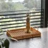 Aufbewahrungskorb mit Griffen in Rattanoptik