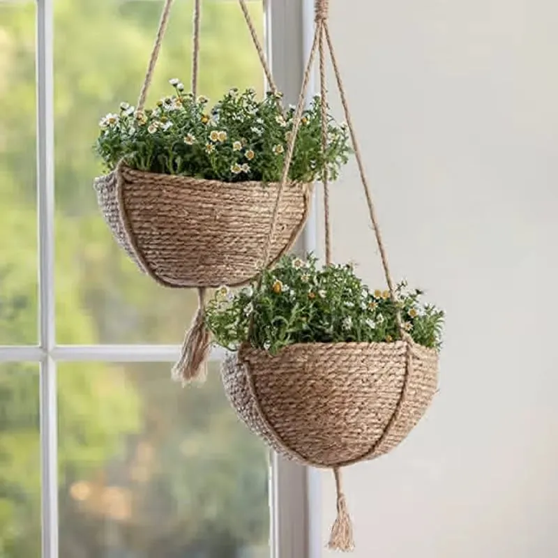 Aufgehängt im Wohnzimmer oder Wintergarten