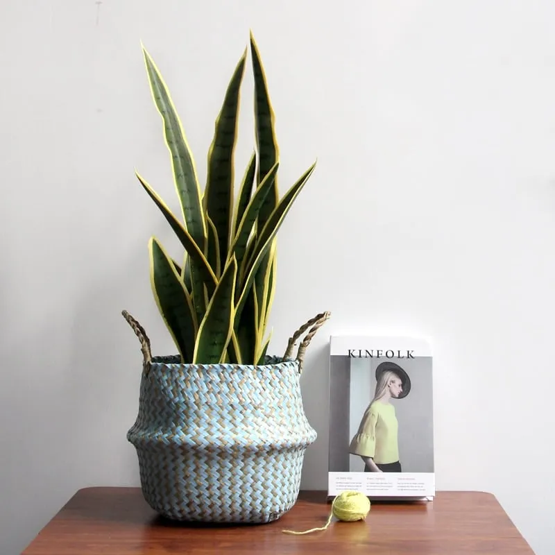 Rattan, Griffe und faltbare Form