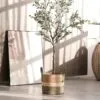 Boho-Rattankorb mit grünen Linien Boho-Rattankorb mit grünen Linien