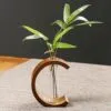 C-förmige Bambusvase C-förmige Bambusvase