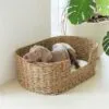 Gemütlicher Hunde-Korb aus Naturrattan Gemütlicher Hunde-Korb aus Naturrattan