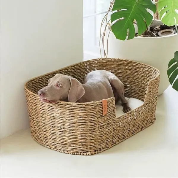 Gemütlicher Hunde-Korb aus Naturrattan Gemütlicher Hunde-Korb aus Naturrattan