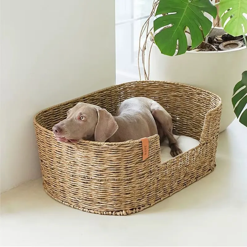 Naturrattan: luftig, warm, langlebig