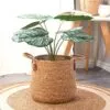 Geräumiger Rattan Pflanzkorb Geräumiger Rattan Pflanzkorb