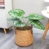 Geräumiger Rattan Pflanzkorb Geräumiger Rattan Pflanzkorb