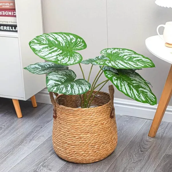 Geräumiger Rattan Pflanzkorb Geräumiger Rattan Pflanzkorb