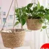 Hängepflanztopf aus Rattan Hängepflanztopf aus Rattan