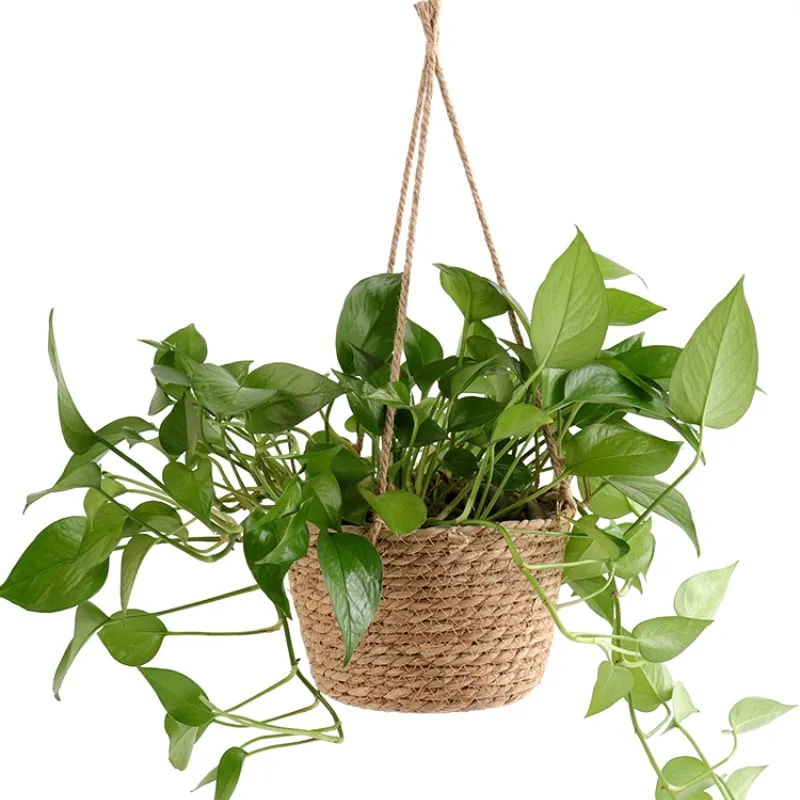 Praktisch im Alltag mit Naturfasern
