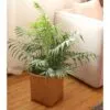 Handgeflochtener Aufbewahrungskorb aus Rattan Handgeflochtener Aufbewahrungskorb aus Rattan