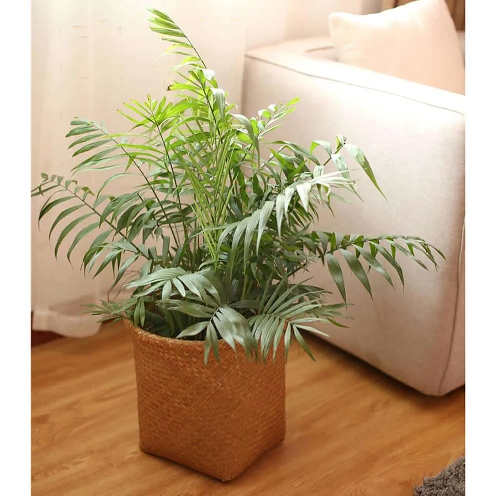 Handgeflochten aus natürlichem Rattan