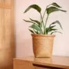 Handgeflochtener Aufbewahrungskorb aus Rattan Handgeflochtener Aufbewahrungskorb aus Rattan
