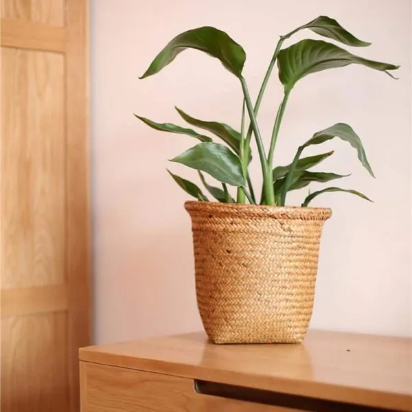 Handgeflochtener Aufbewahrungskorb aus Rattan Handgeflochtener Aufbewahrungskorb aus Rattan
