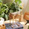 Pflanzenständer aus Rattan Pflanzenständer aus Rattan