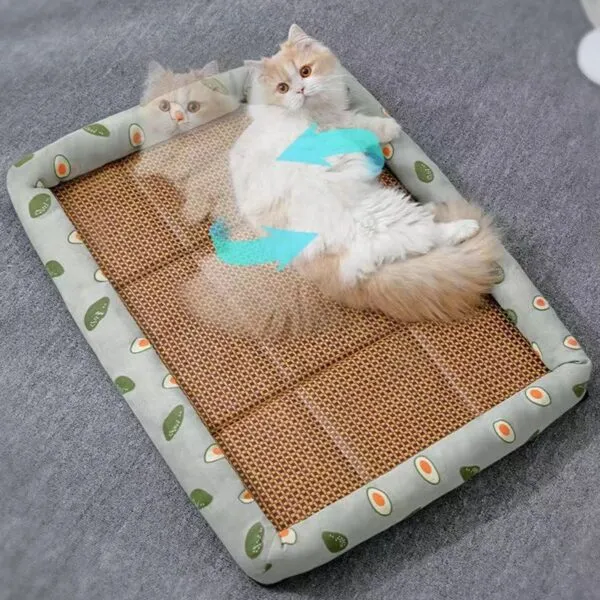 Rattan Katzenkorb Sommerbett Rattan Katzenkorb Sommerbett
