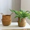 Rattan Pflanzkorb Rattan Pflanzkorb