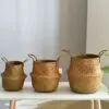 Rattan Pflanzkorb Rattan Pflanzkorb