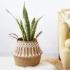 Rustikaler Makramee-Korb aus Rattan Rustikaler Makramee-Korb aus Rattan