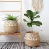 Rustikaler Makramee-Korb aus Rattan Rustikaler Makramee-Korb aus Rattan
