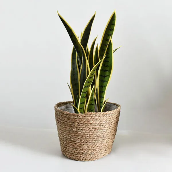 Übertopf aus Naturrattan