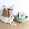 Übertopf aus Rattan und Weide für Zuhause Übertopf aus Rattan und Weide für Zuhause
