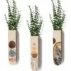 Wandampel-Set aus Holz mit abstraktem Muster Wandampel-Set aus Holz mit abstraktem Muster