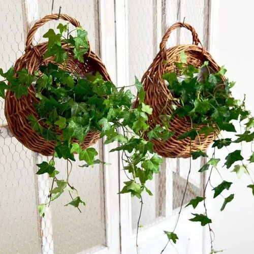 Wandvase aus Rattan Wandvase aus Rattan